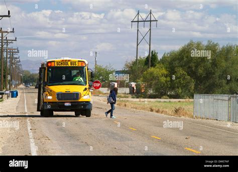 A school bus stopped with flashing red lights and stop sign allowing ...