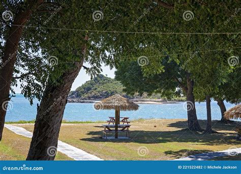 Thatched Shade Umbrella on the Beachfront Stock Photo - Image of island, leaves: 221522482