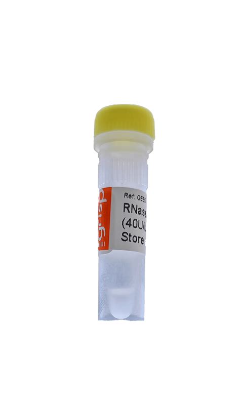 RNase Inhibitor (40 U/uL) - GRiSP