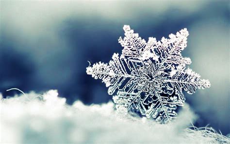 Ice Crystals Wallpapers - Top Free Ice Crystals Backgrounds - WallpaperAccess