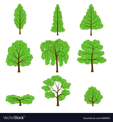 Set different crown a trees isolated on white Vector Image