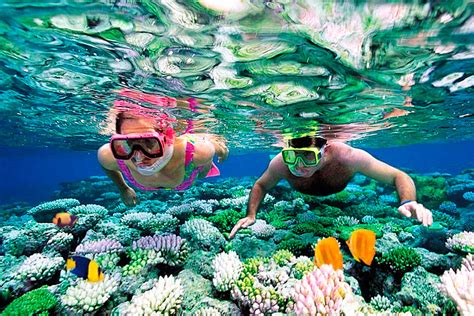 Riviera Maya Snorkeling the perfect Cancun Snorkeling Adventure Tour