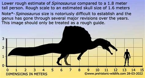 Carnivorous Dinosaurs Size Chart