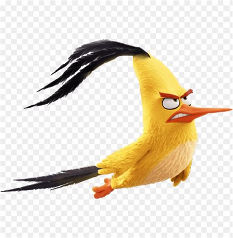 Angry Birds Movie Chuck Flying PNG Transparent With Clear Background ID 89501 | TOPpng