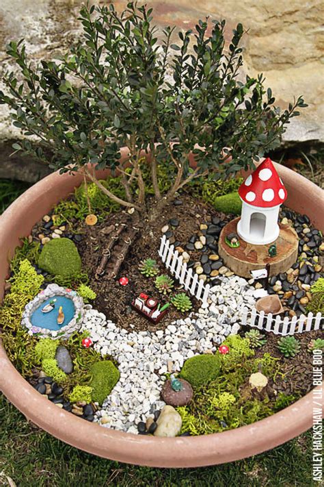 Fairy Garden Ideas - How to make a Bonsai Tree Fairy Garden