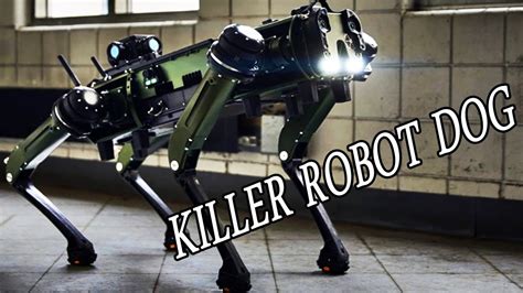 Chinese robot dog lands from a drone that can fire 650 rounds per minute - YouTube