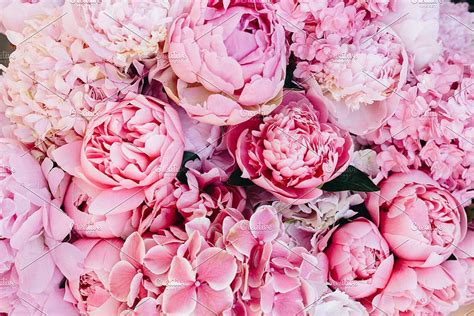 Discovering The Enchanting World Of Pink Peonies