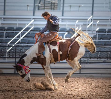 Best Bronc Riding Stock Photos, Pictures & Royalty-Free Images - iStock