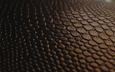 Closeup photo of black snake leather HD wallpaper | Wallpaper Flare