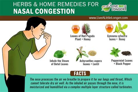 Home Remedies For Nasal Congestion - Natural Remedy From Your Kitchen ...