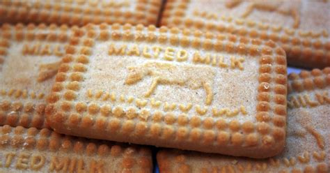 Malted Milk Biscuits - Nibble My Biscuit