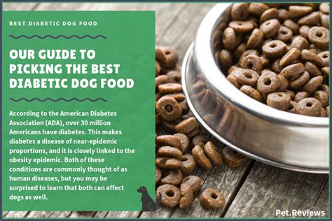 10 Best Diabetic Dog Food Brands (Non-Prescription) in 2020