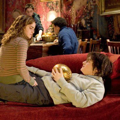 Harry&Hermione - Harry Potter Photo (21414348) - Fanpop