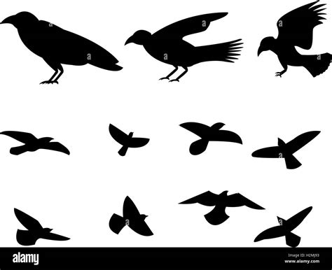 Silhouette flying raven bird, vector design Stock Vector Image & Art ...