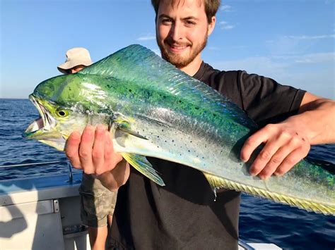 Mahi Mahi Season Summer Sydney Premium Charters FADS - Sydney Premium Charters