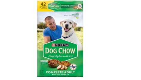 Is Purina Dog Chow Good For Dogs? (My Final Verdict)