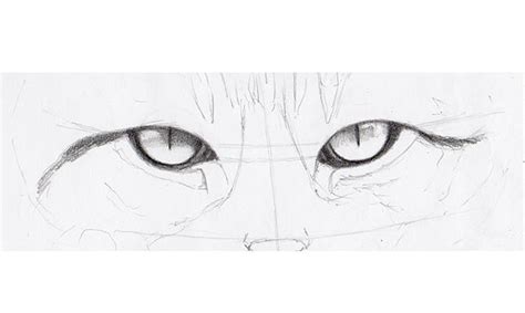 How To Draw Cat Eyes Simple - 40 Simple Cat drawing Examples anyone Can Try