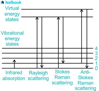 Raman Scattering: Theory, Raman Spectroscopy, And Applications