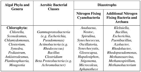 Aerobic Bacteria