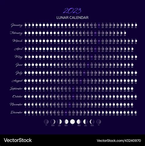 2023 year moon calendar with lunar phases Vector Image