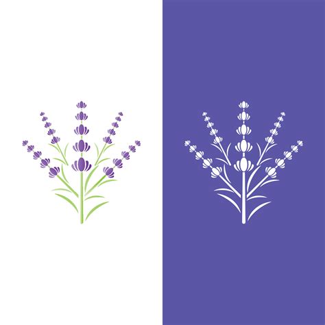 Fresh Lavender flower logo vector 7866163 Vector Art at Vecteezy