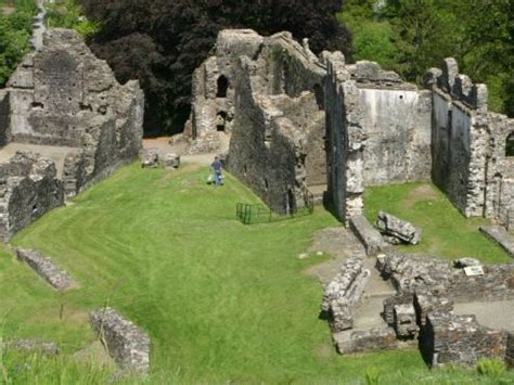 Okehampton Castle (Okehampton) - Visitor Information & Reviews