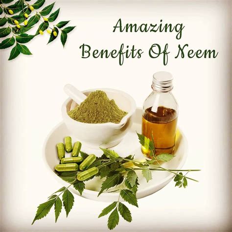 Benefits of Neem Oil for Hair Growth - Sensod