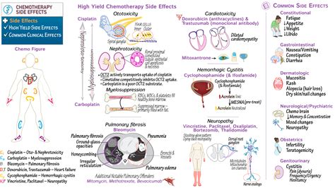 Nursing (RN): Chemotherapy Side Effects | Draw It to Know It