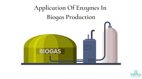 Application Of Enzymes In Biogas Production | Infinita Biotech