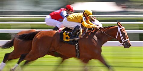 2023 Preakness Stakes Travel Packages