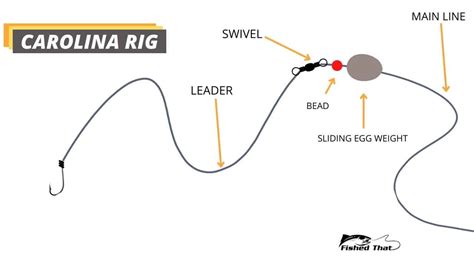 Carolina Rig: What Is It and How to Setup? - Fished That