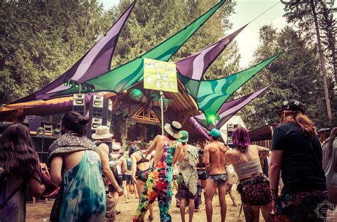 The 13 Best Totems Found At Shambhala Music Festival - Festival Squad