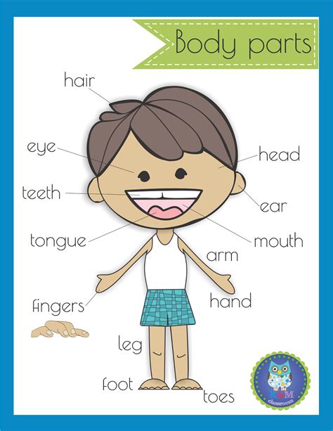 Body Parts Vocabulary Poster