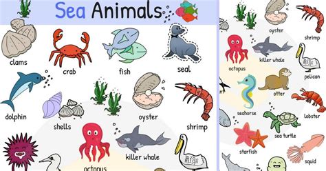 Marine Animals Meaning In Tamil