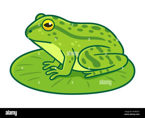 Realistic green frog drawing sitting on lily pad. Cartoon vector clip art illustration Stock ...