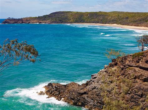 About | Noosa National Park | Parks and forests | Department of Environment, Science and ...