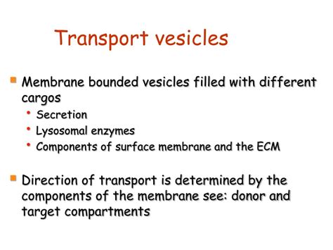 PPT - Vesicular transport PowerPoint Presentation, free download - ID:5679415