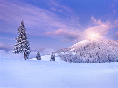 Download Snow Landscape Nature Winter 4k Ultra HD Wallpaper