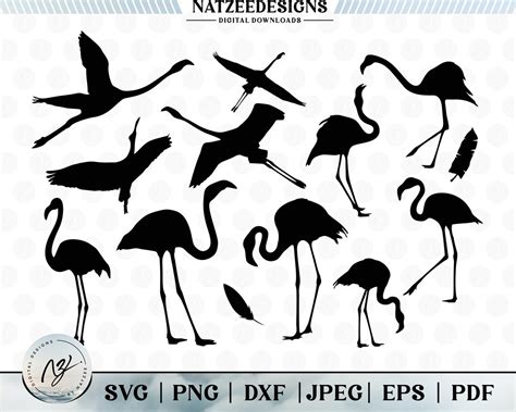 Flamingo SVG, Flamingo Clipart SVG Bundle, Flamingo Cut File, Cricut Cut Files, Cricut Design ...