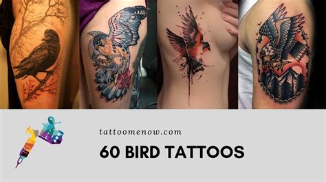 60 UNIQUE BIRD TATTOO DESIGNS - YouTube