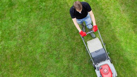 Best lawn mower for stripes for a professional finish 2024