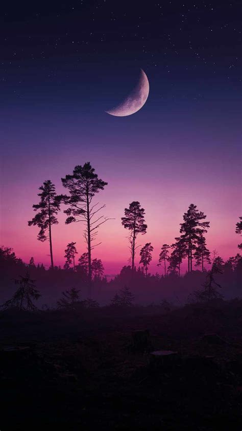 Moon Sunset Wallpapers - 4k, HD Moon Sunset Backgrounds on WallpaperBat