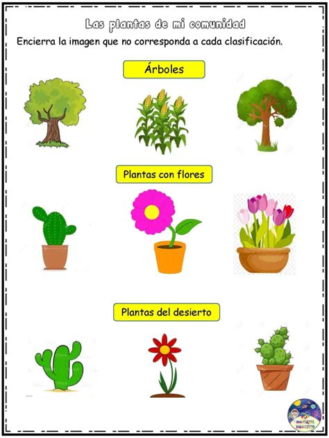 Las Plantas De Mi Comunidad - XIli