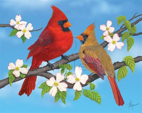 Cardinal Art Print -- Illustration of Red Cardinals on blue | Bird art print, Art prints ...