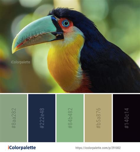 Color Palette ideas from 2162 Beak Images | iColorpalette | Color palette, Toucan images, Color