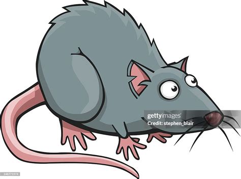 Cartoon Rat High-Res Vector Graphic - Getty Images