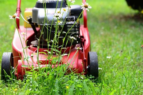 Best Lawn Mower & Striping Kits {Make Beautiful Stripes}