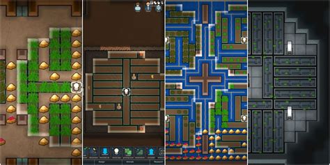 How To Build A Good Hydroponics Layout In Rimworld