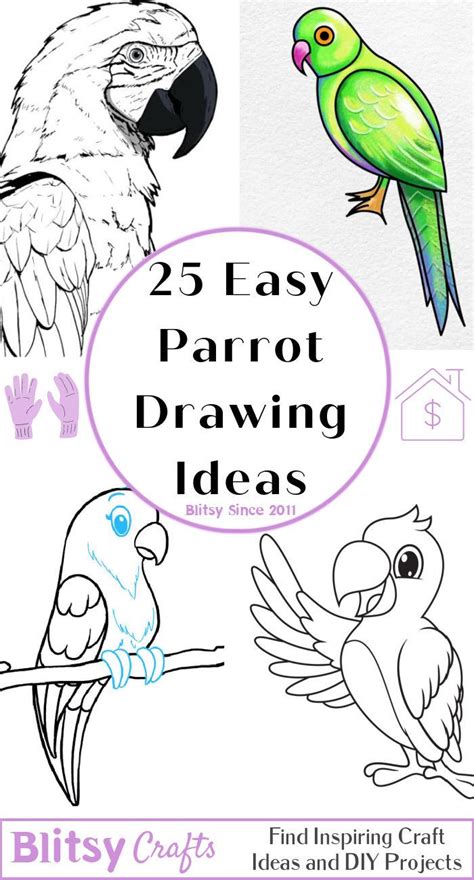 25 Easy Parrot Drawing Ideas - How to Draw a Parrot (2023)