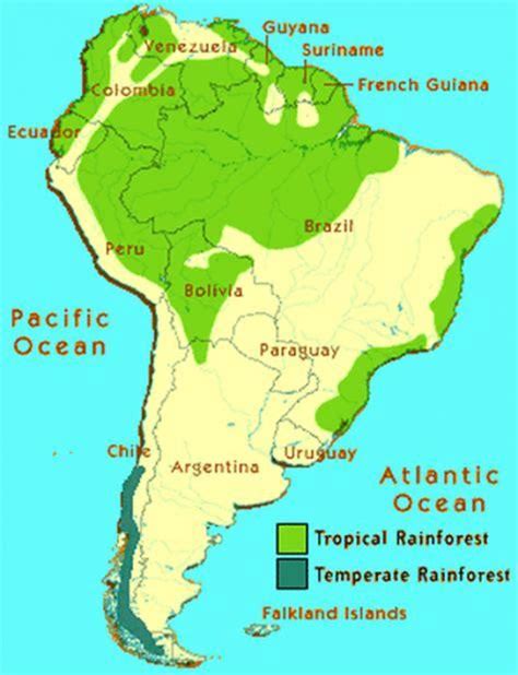 Map of Brazil rainforest - Rainforest in Brazil map (South America - Americas)